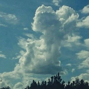 Meet your Posher, Ethan